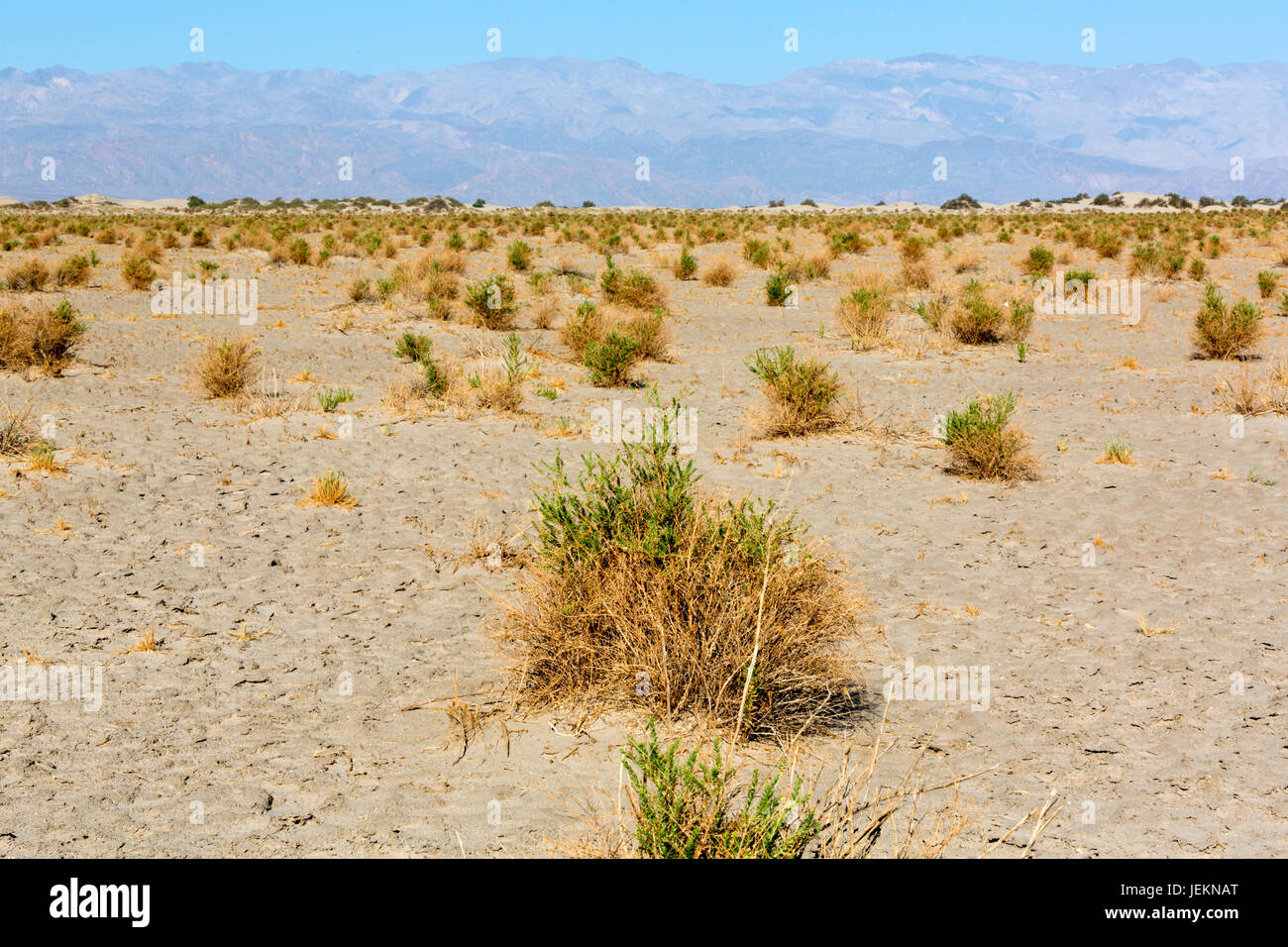 Death valley national park geology hi-res stock photography and images ...