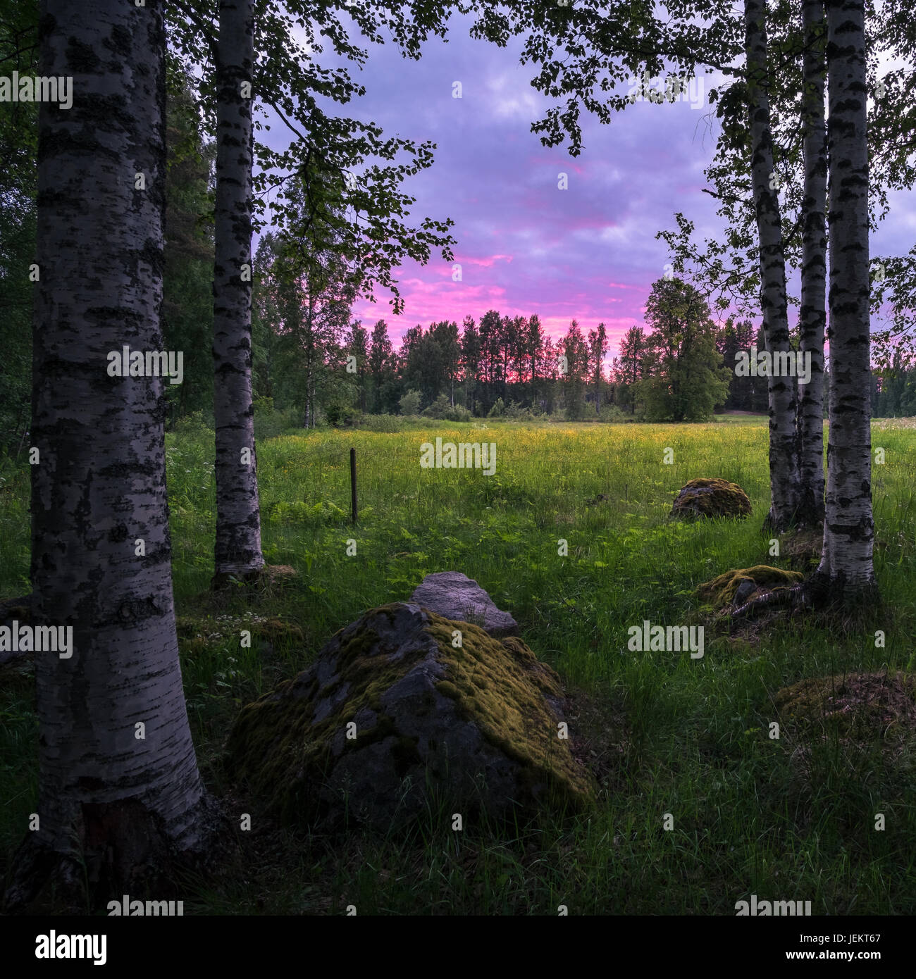 Countryside landscape at summer night with colorful sunset in Finland Stock Photo