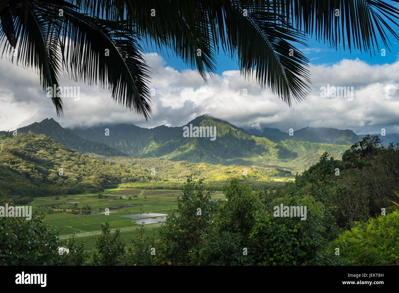 Hanalei valley from Princeville overlook Kauai Stock Photo