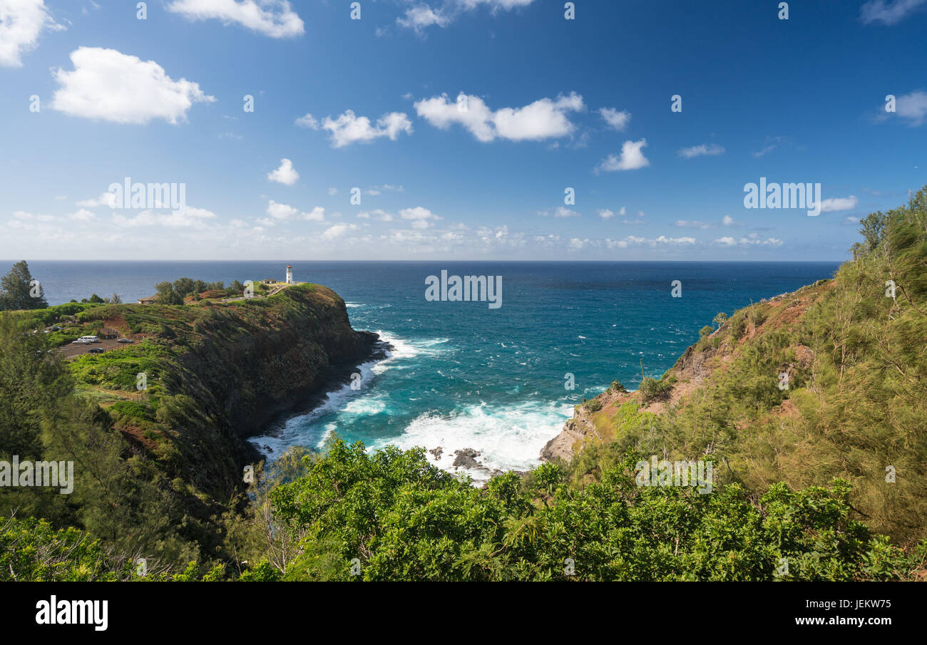 Bird sanctuary at Kilauea Lighthouse Stock Photo Alamy