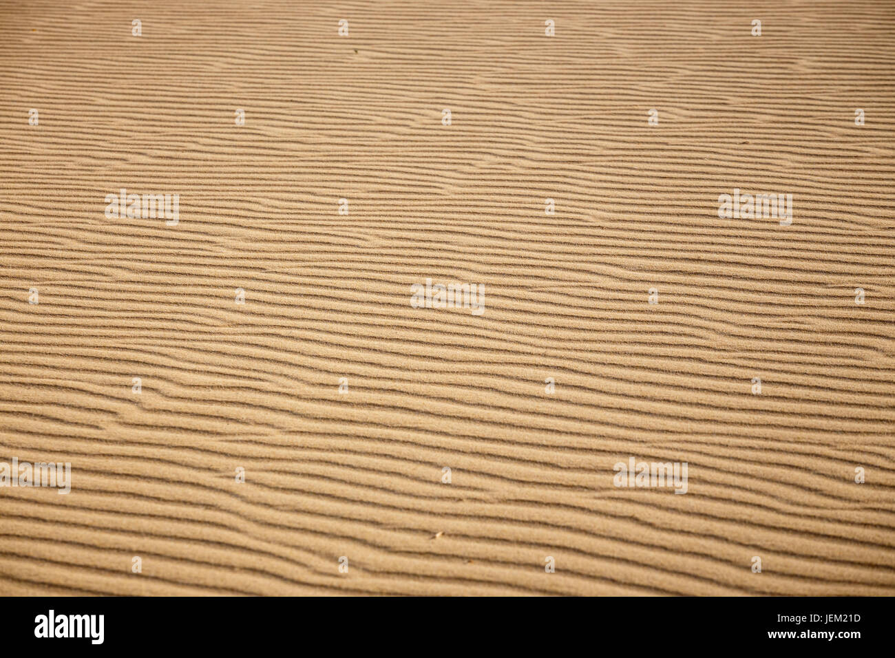 Lines in the sand of a beach, close up Stock Photo - Alamy