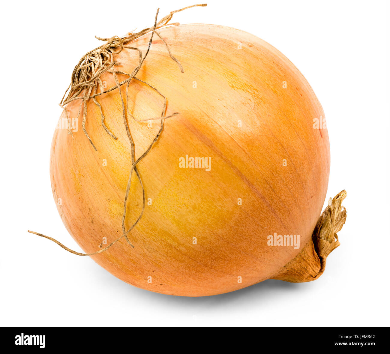 Onion , isolation with clipping paths Stock Photo
