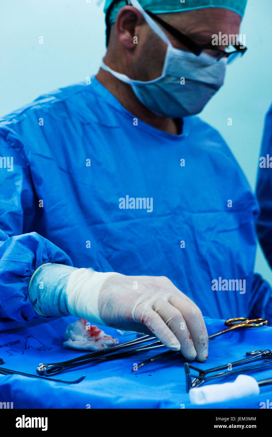 Surgical operating department practitioners are the principal surgical assistant and handle all