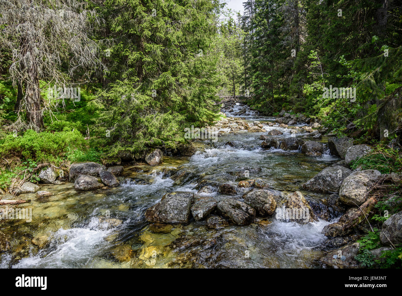 Fast mountain river with crystal clear water in the summer Stock Photo ...