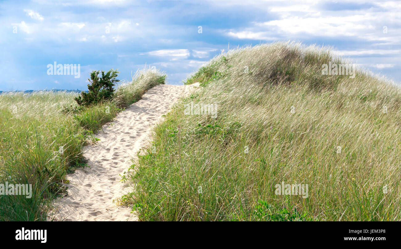 Upward dune path to the ocean in Wellfleet, Cape Cod Massachusetts, USA Stock Photo