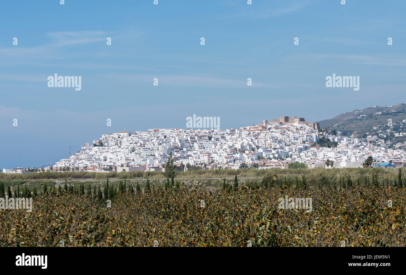 white typical spanish houses on a hill in andalusia near the city of malaga at the coast of spain Stock Photo