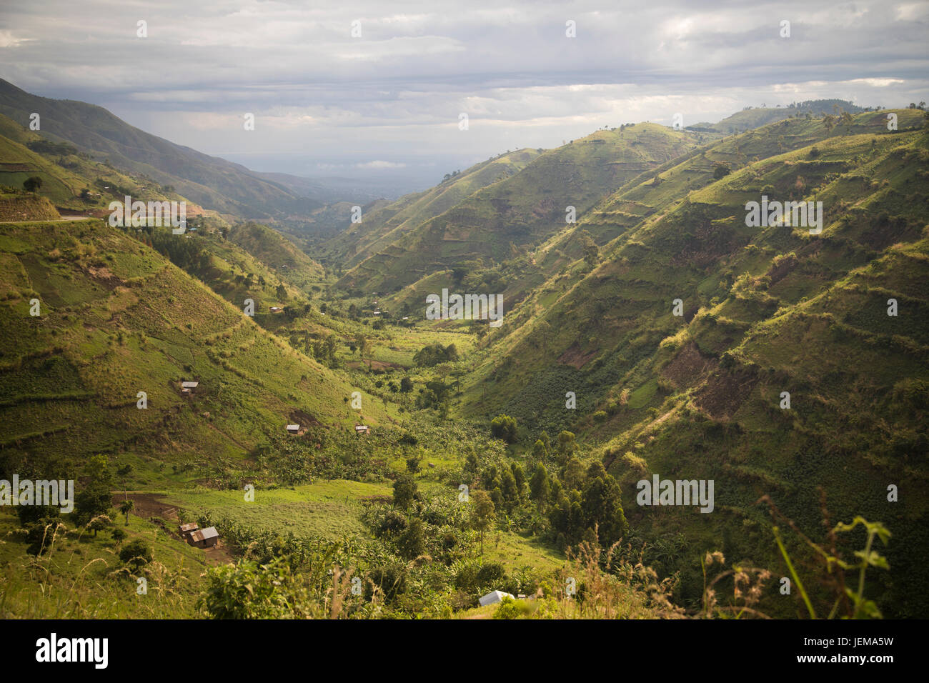 Rwenzori Mountains scenery - Bundibugyo District, Uganda. Stock Photo