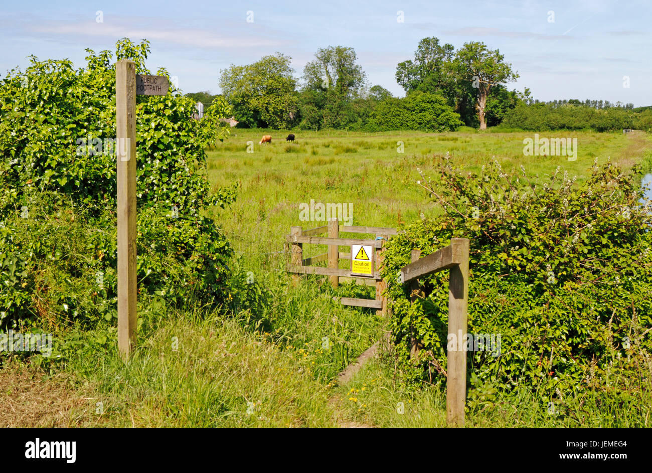 A view of the gateway to a public footpath across grazing meadows by the River Bure at Little Hautbois, Norfolk, England, United Kingdom. Stock Photo