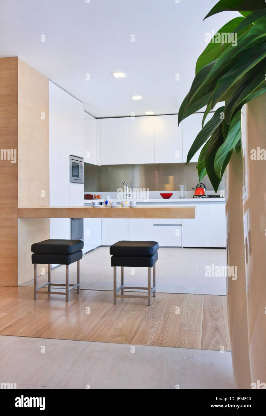 Modern design kitchen in a model apartment with a tasteful furnishing breathing an atmosphere of wealth and taste. Stock Photo