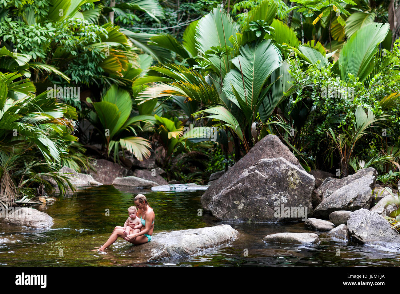 Plants and rocks at river Stock Photo - Alamy