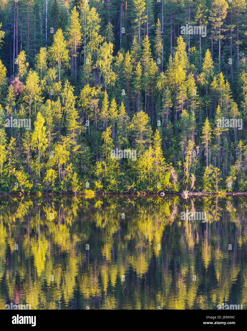 Autumn forest reflecting in water Stock Photo - Alamy