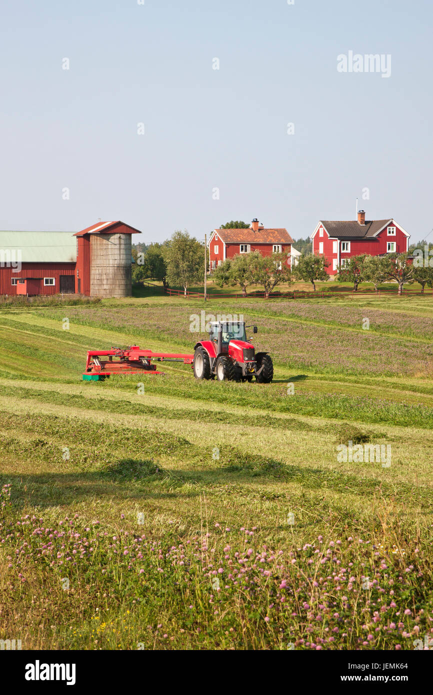 Tractor mowing grass Stock Photo Alamy
