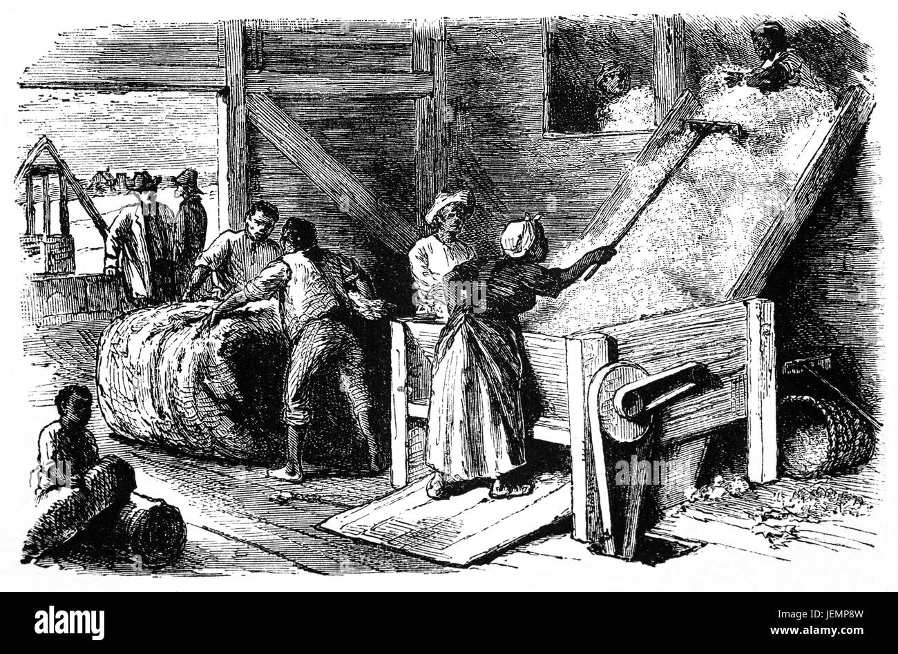 1879: Using a cotton gin, a machine that quickly and easily separates cotton fibers from their seeds, allowing for  greater productivity than manual cotton separation, Georgia State, United States of America Stock Photo