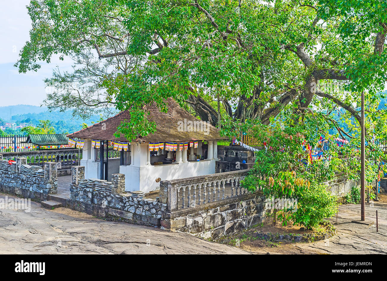 The old Bodhi Tree and the Image House in Gadaladeniya Vihara Buddhist ...