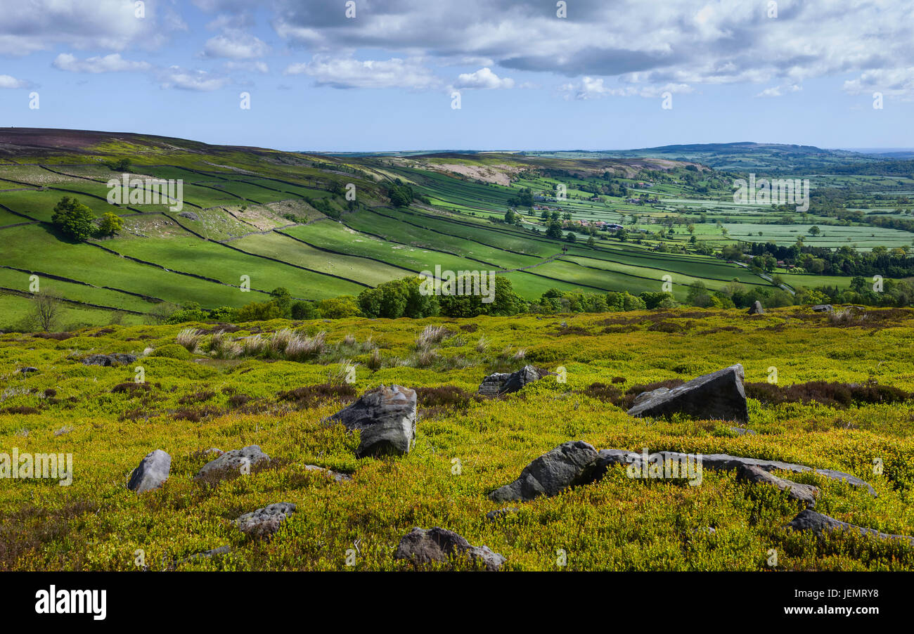 The beautiful valley flanked by moorland, and farmland, in the heart of the North York Moors on a bright summer morning, Glaisdale, UK. Stock Photo