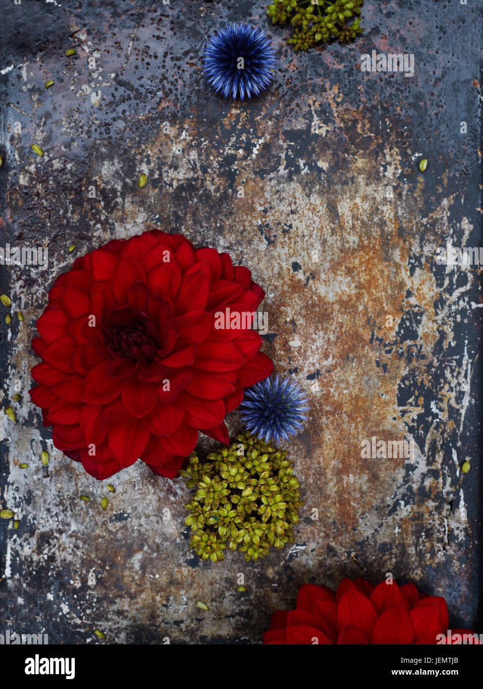 Flowers on rock Stock Photo - Alamy