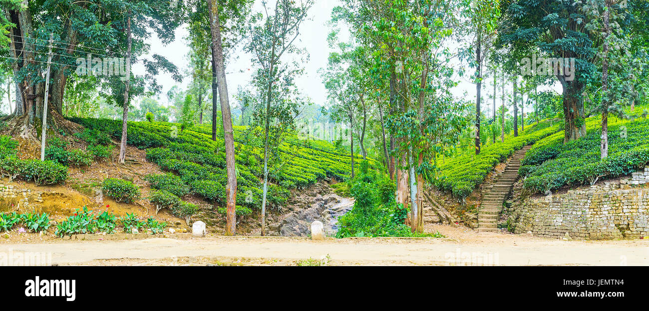 Pusselawa is famous for acres of tea estates around the town, tea