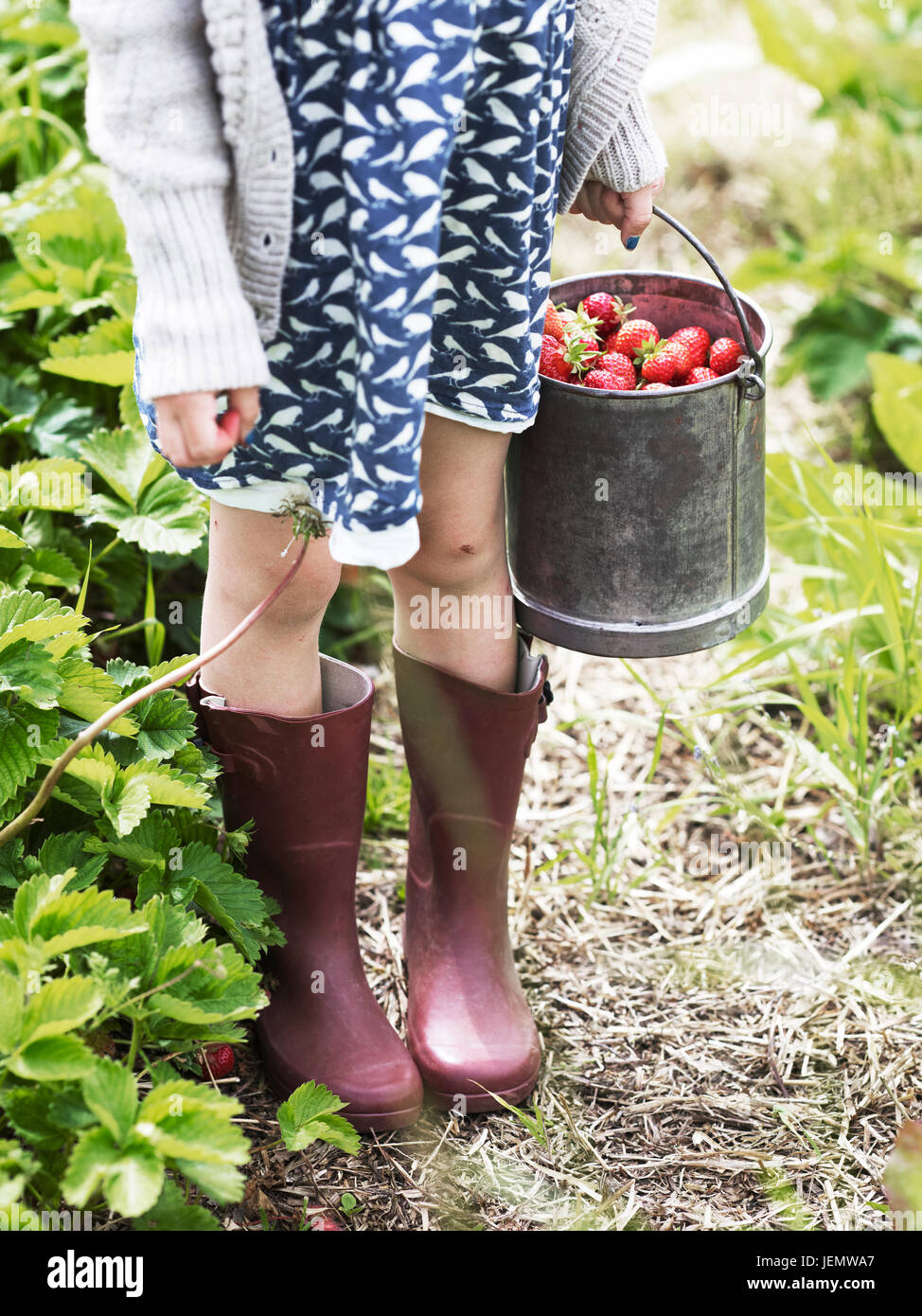 Girl with strawberries in buckets Stock Photo - Alamy