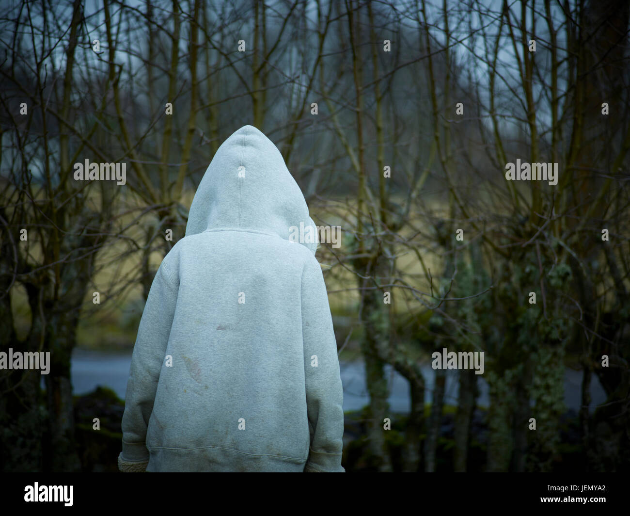 Person wearing hoodie, rear view Stock Photo - Alamy