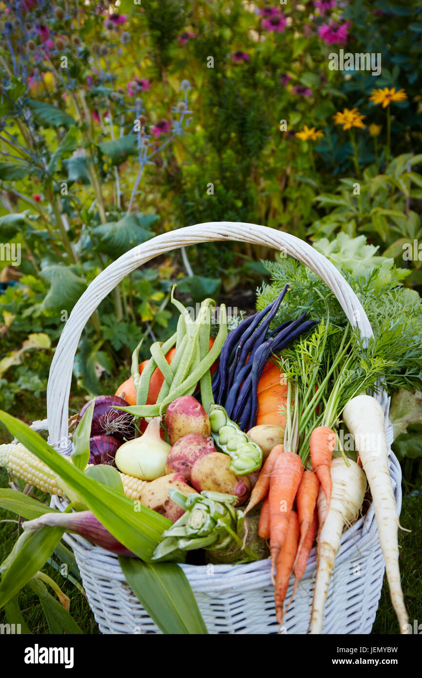 Vegetables in basket Stock Photo
