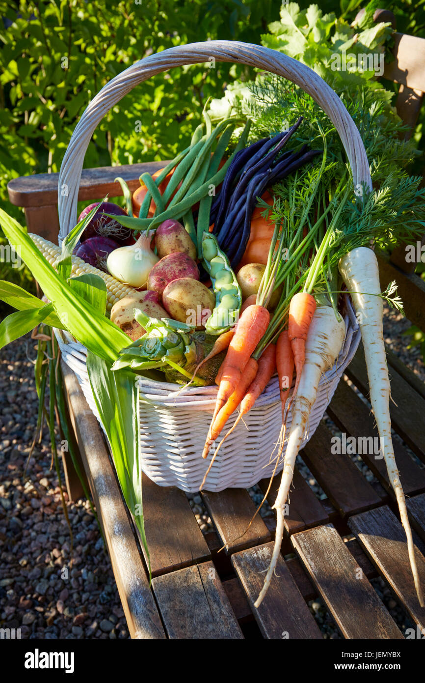 Vegetables in basket Stock Photo