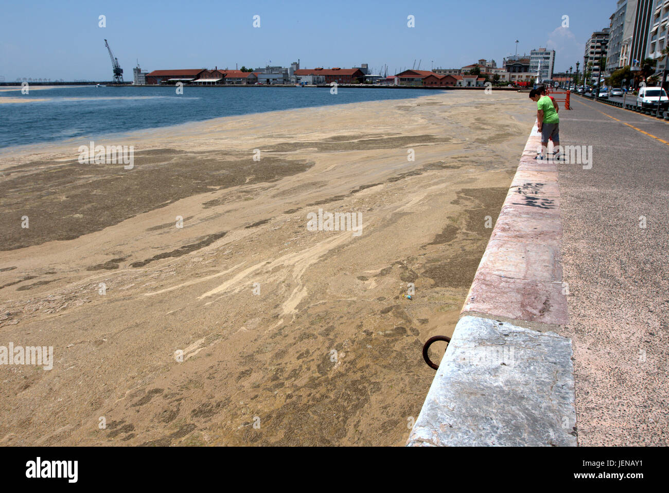 Thessaloniki, Greece. 27th June, 2017. Children having a look at the red tide phenomenon affected seafront of the northern Greek port city of Thessaloniki. Red tide is a common name for a phenomenon known as an algal bloom, caused by species of dinoflagellates, taking on a red or brown colour. Credit Credit: Orhan Tsolak/Alamy Live News Stock Photo
