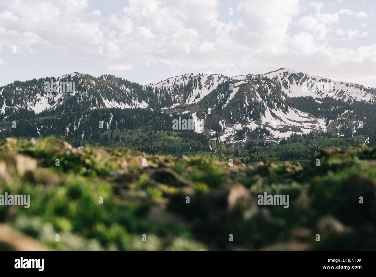 Wasatch Mountains, Utah, United States Stock Photo