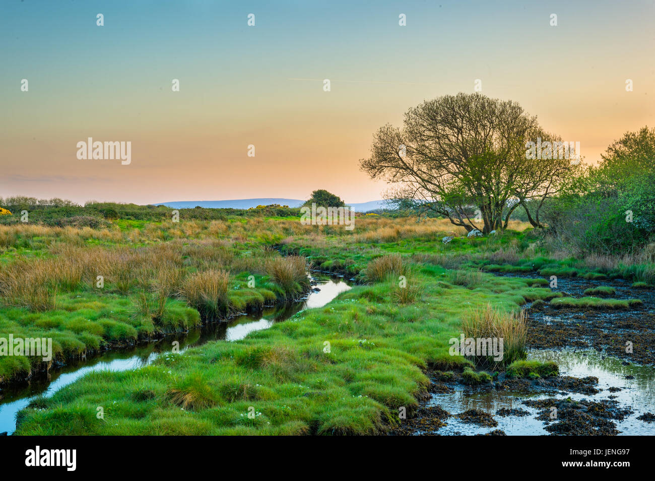 A sunset on a sunny evening from the road to Silver Strand beach, Co