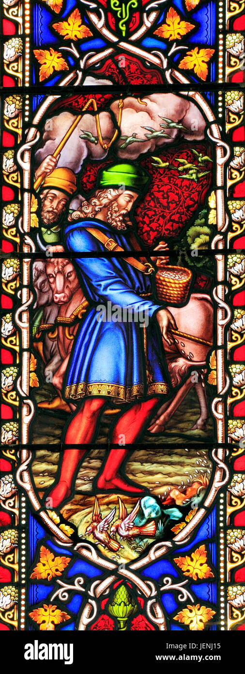 The Sower, stained glass window, by William Warrington, 1856, Field Dalling, Norfolk, England, UK Stock Photo