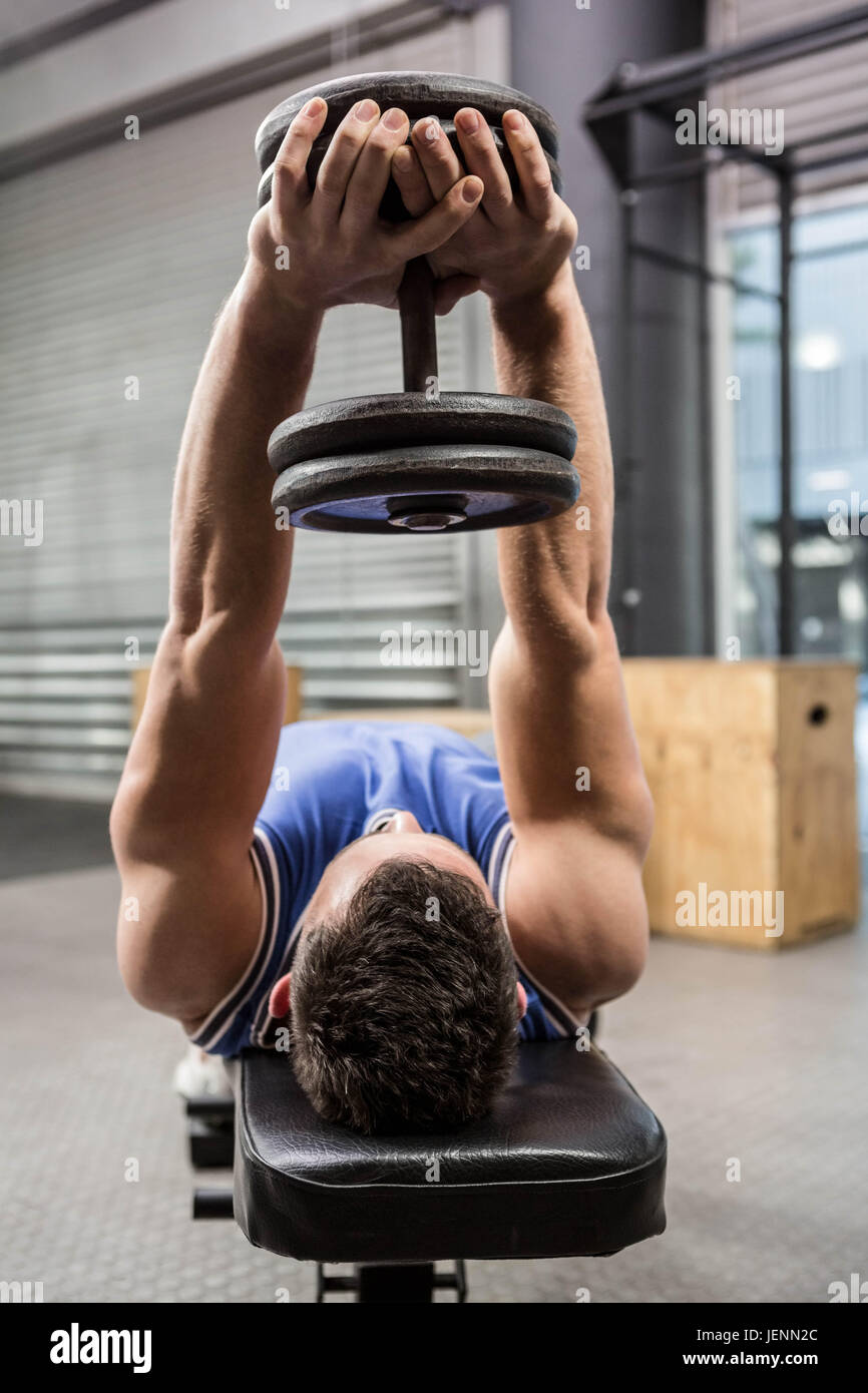 Muscular man on bench lifting dumbbell Stock Photo Alamy