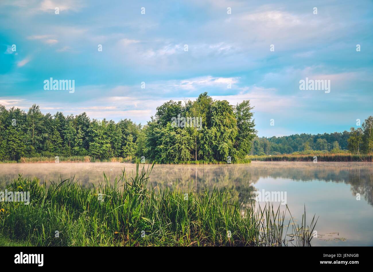 Nature landscape by the lake. Islet with green trees on the lake. Stock Photo