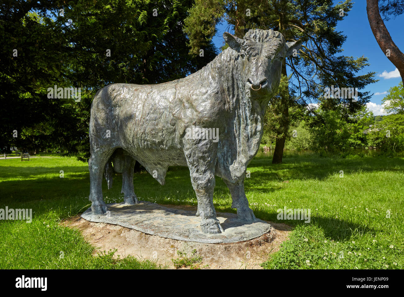 Sculpture of welsh Black Bull by Gavin Fifieldin Builth Wells Powys