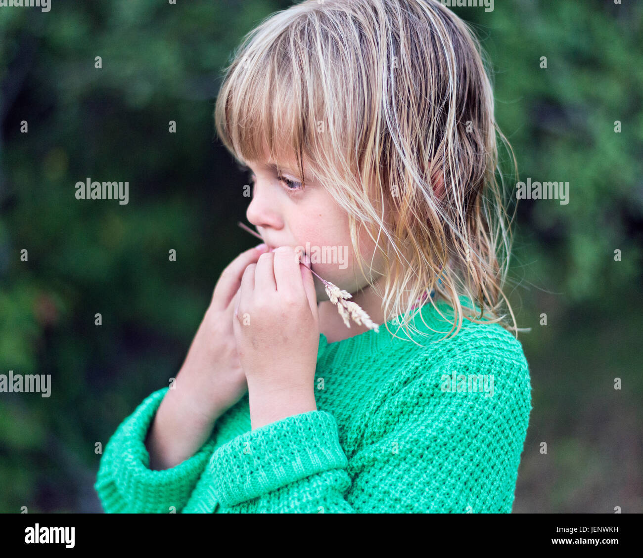 Grass blade mouth hires stock photography and images Alamy