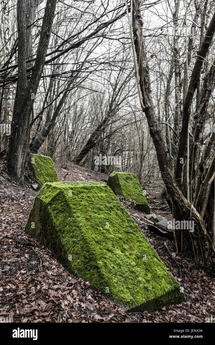 Concrete blocks covered with moss in forest Stock Photo Alamy