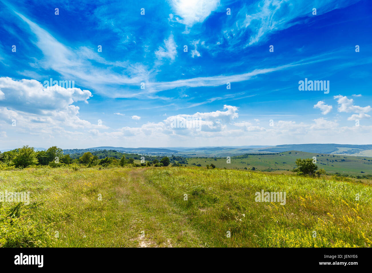 Summer landscape with green grass, rural road and clouds Stock Photo ...