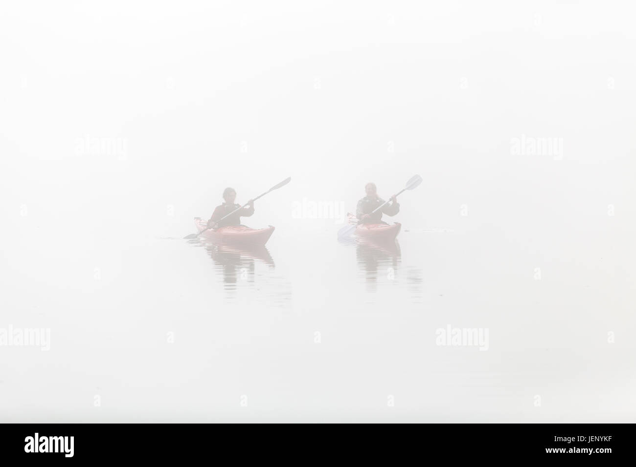 People kayaking in fog Stock Photo Alamy