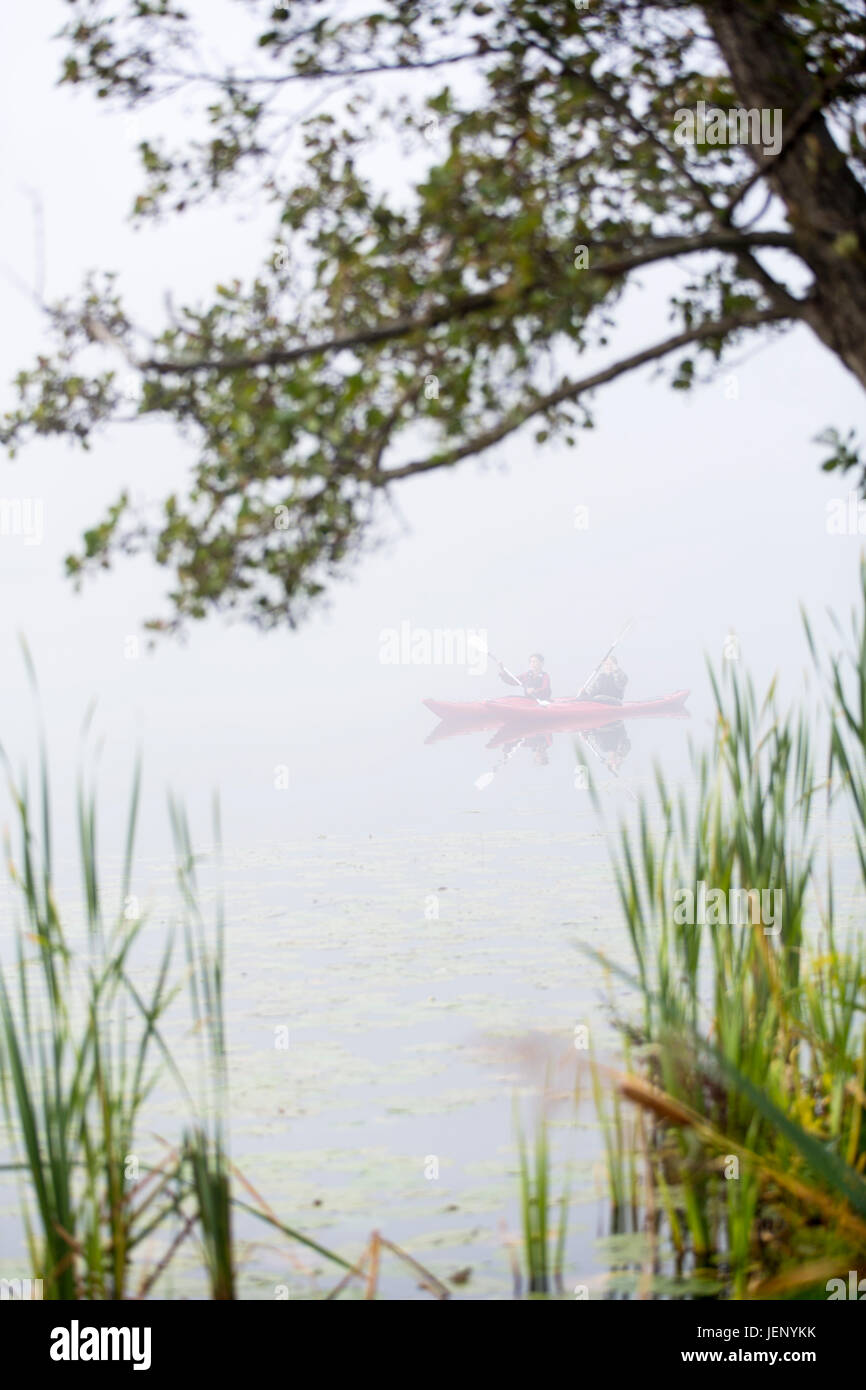 Reeds, people kayaking on background Stock Photo Alamy