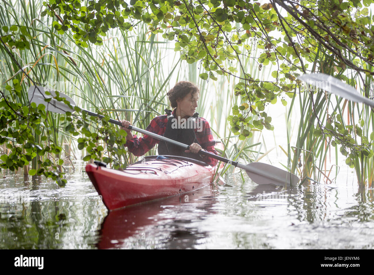 Woman kayaking in fog Stock Photo Alamy