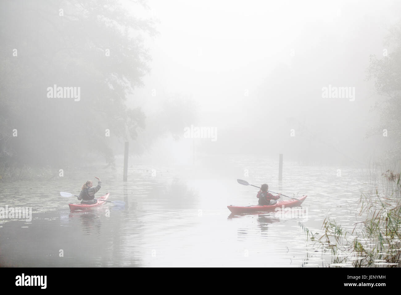 Women kayaking in fog Stock Photo Alamy