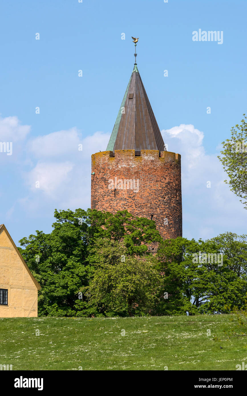 The Goose Tower in Castle ruin, founded by Valdemar I of