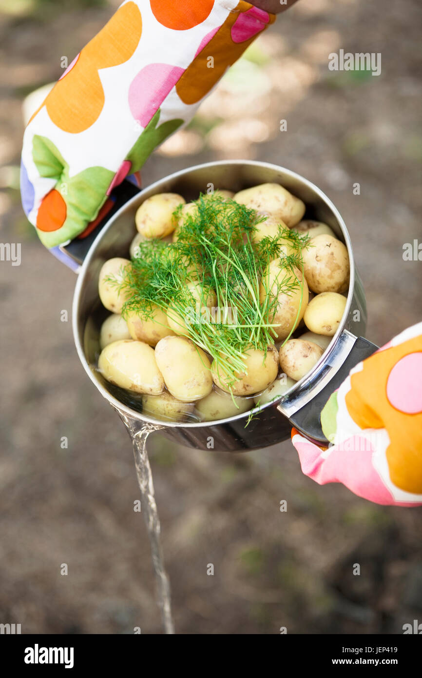 Person pouring water out of potatoes in saucepan Stock Photo - Alamy