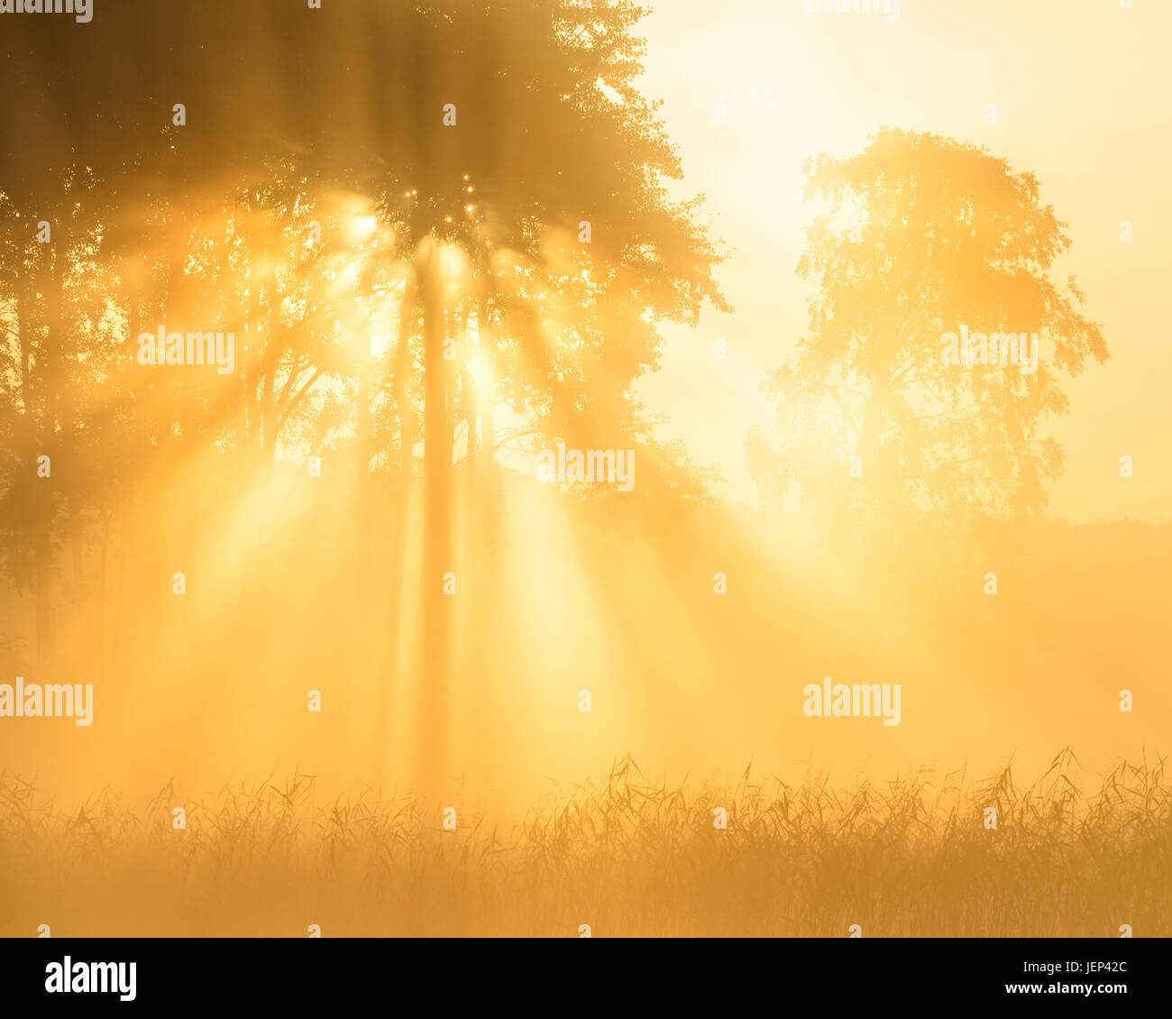 Fog streak hi-res stock photography and images - Alamy