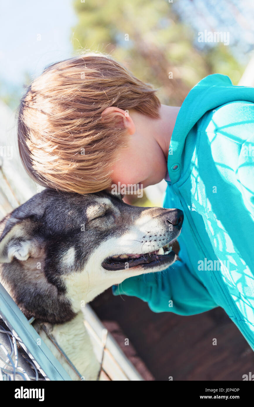 Boy with dog Stock Photo