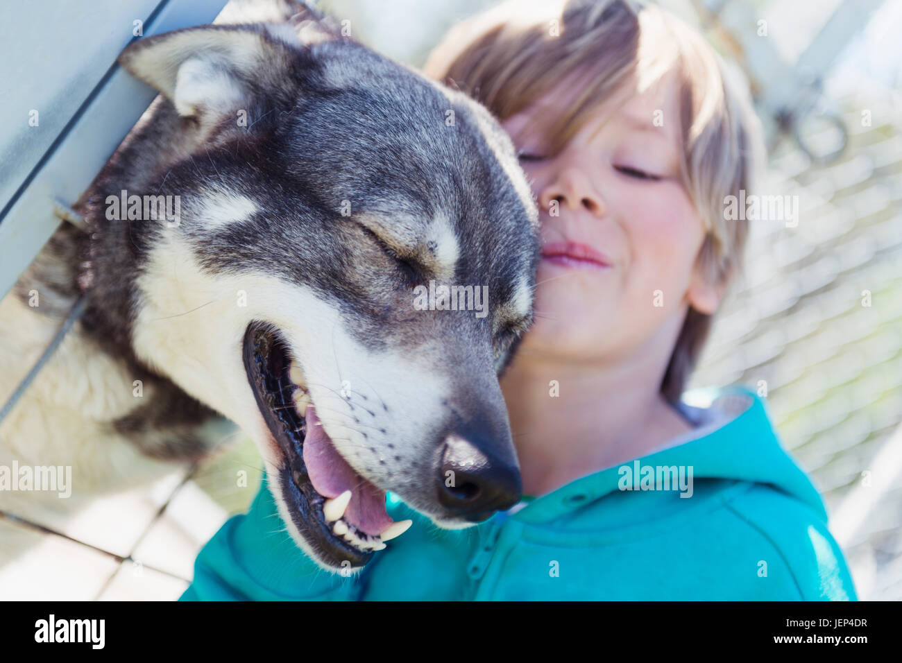 Boy with dog Stock Photo