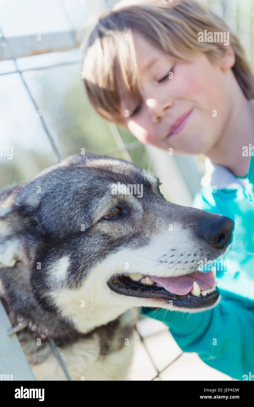 Boy with dog Stock Photo