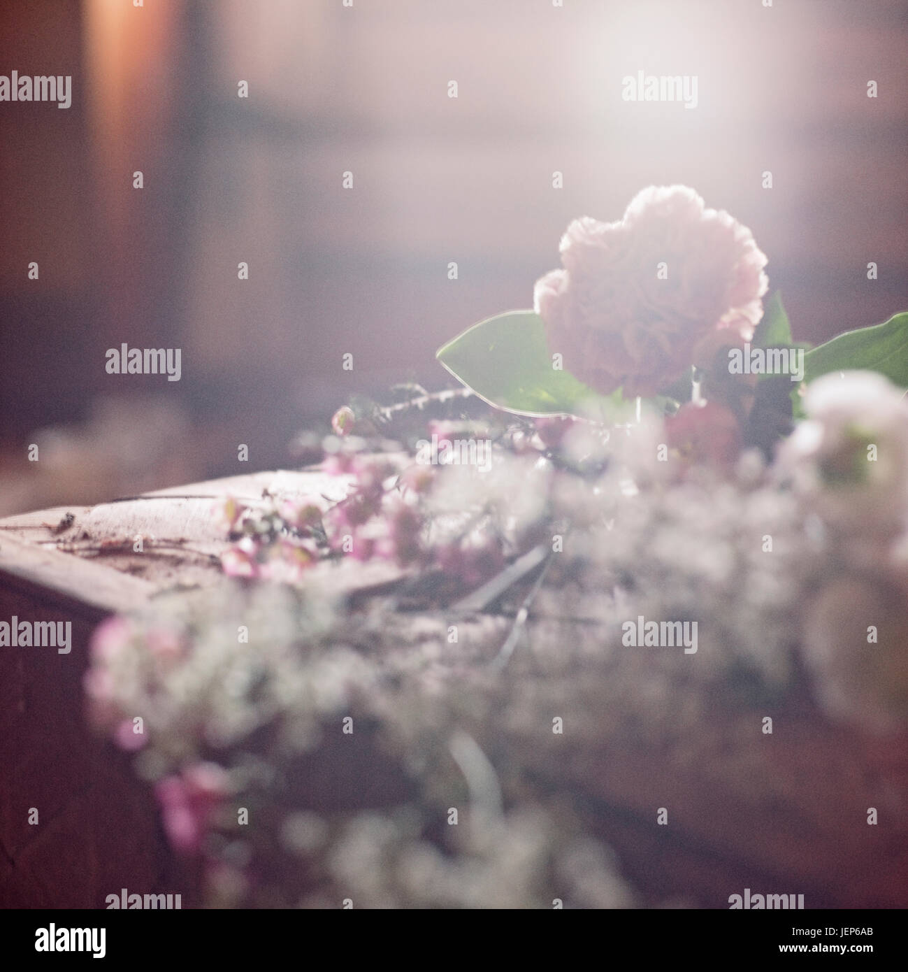 Persian lit hi-res stock photography and images - Alamy