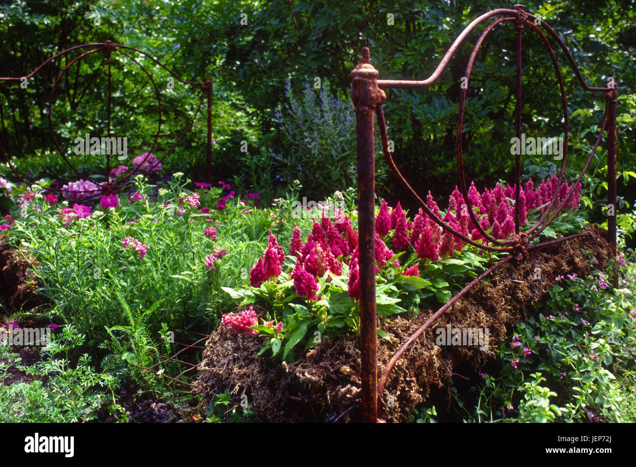 Flea market garden with iron bed or flowers Stock Photo