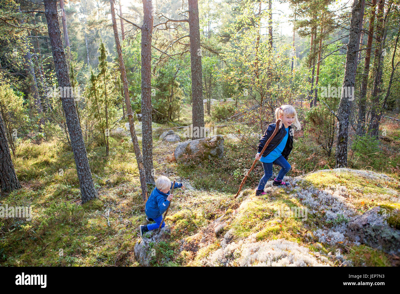 Brother and sister walking in forest Stock Photo - Alamy