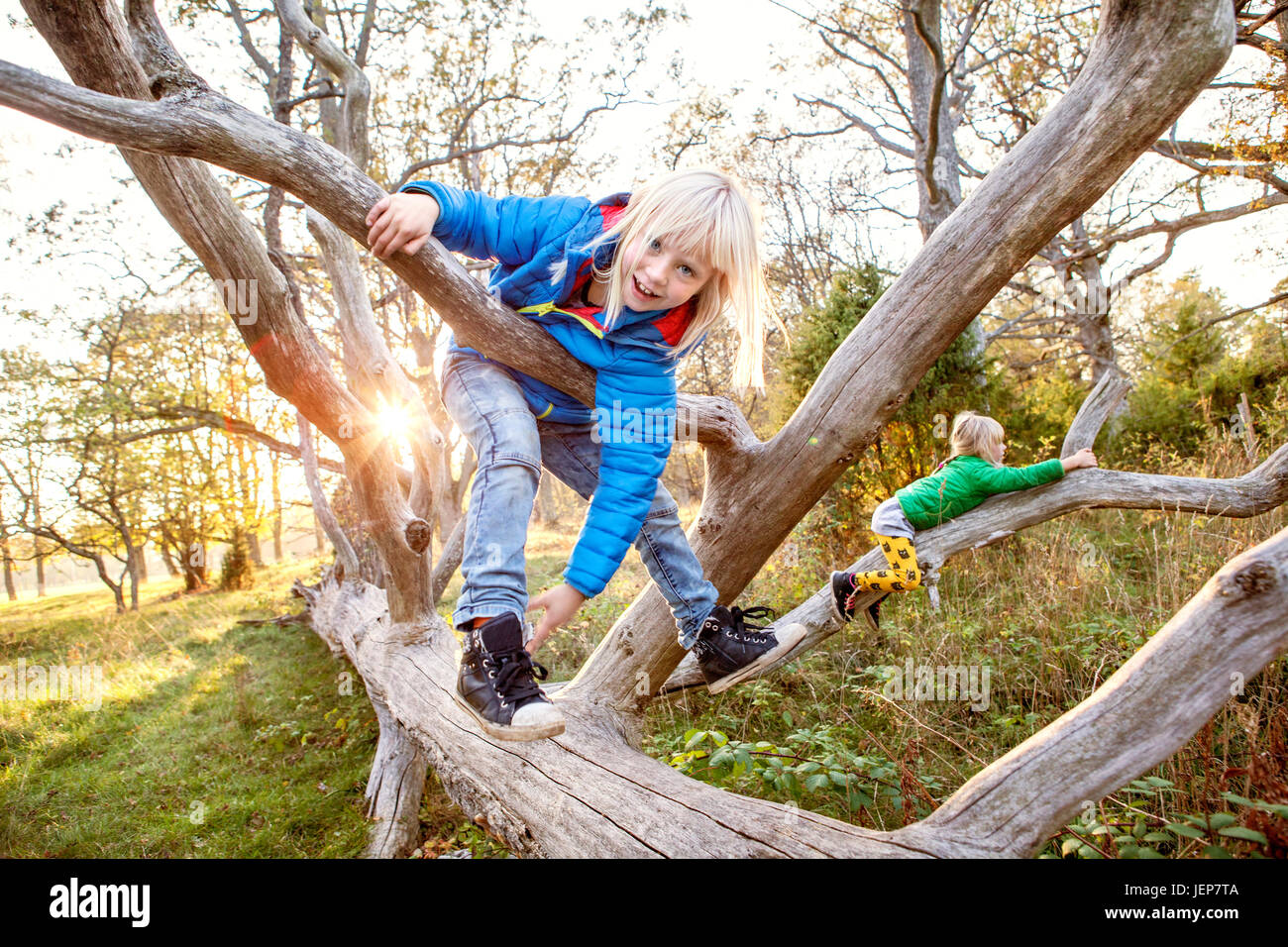Girls playing in forest Stock Photo - Alamy