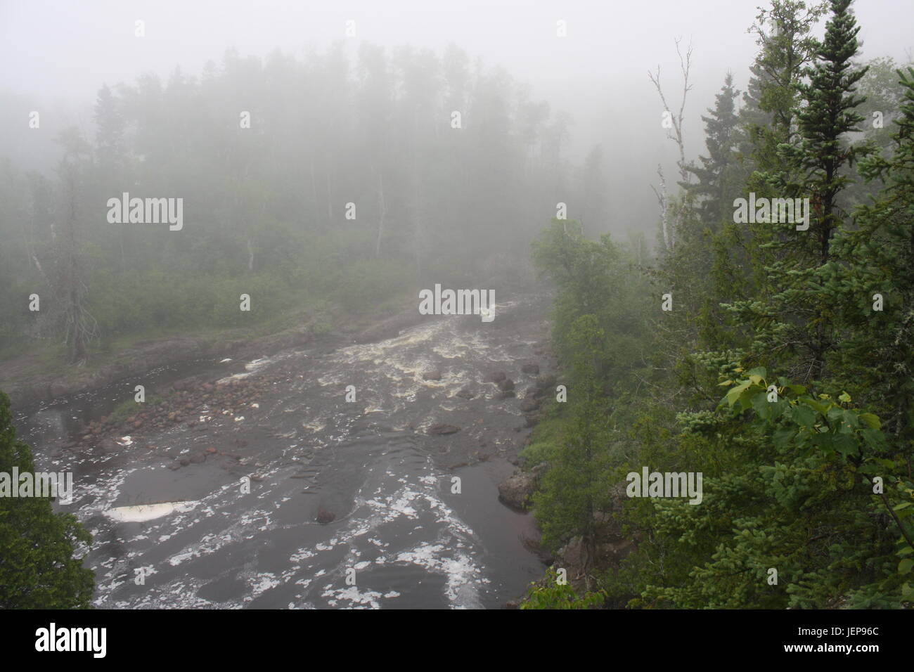 Thick fog through trees hi-res stock photography and images - Alamy